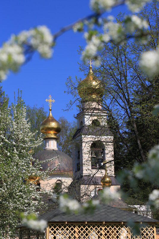 Переделкино - Ninell Nikitina