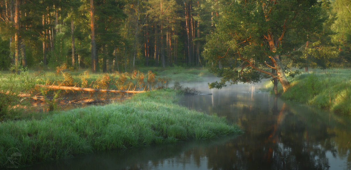 Прозрачное утро - Анатолий Гордиенко Прозрачное утро - Анатолий Гордиенко