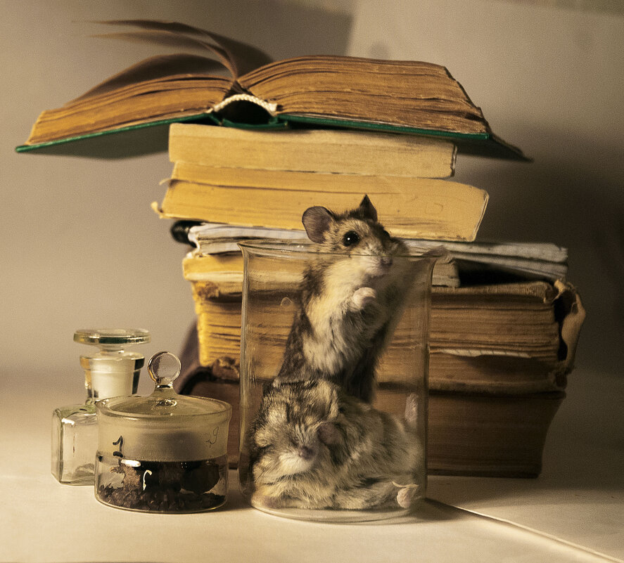 Что-то будет - Владимир Шишкин