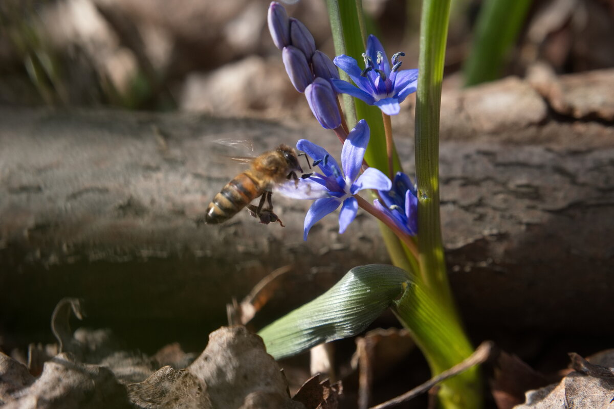 по делам... - Всеволод 