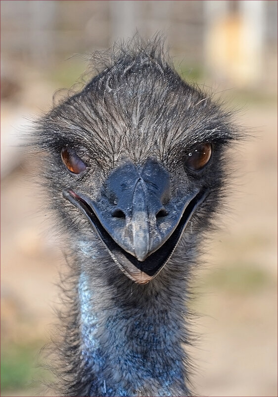 Купите портрет! Для настроения! - Валентина Нефёдова Купите портрет! Для настроения! - Валентина Нефёдова