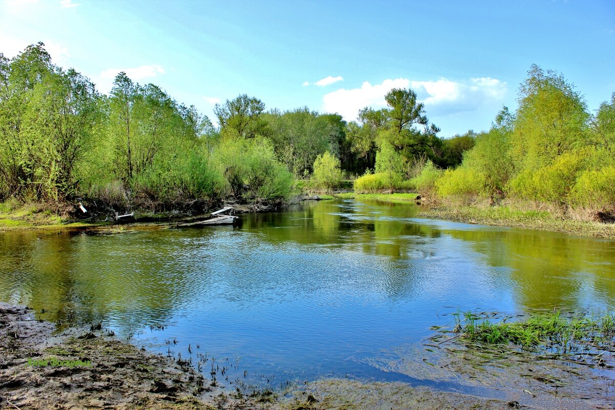 Речка Свинцовка. - Восковых Анна Васильевна 