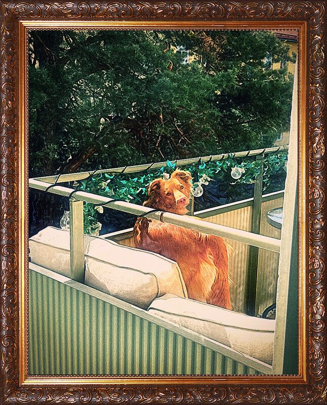 Каштанка. - Николай Феофанов