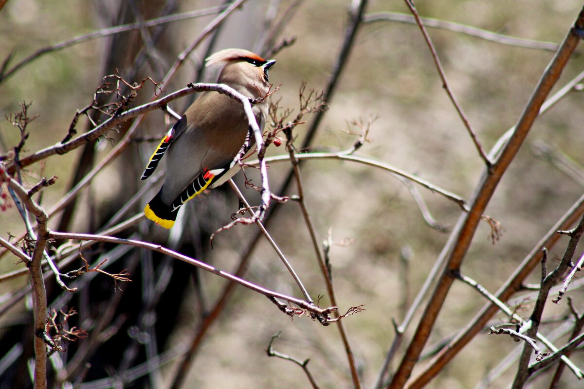 Всё кончилось - Дмитрий (Горыныч) Симагин Всё кончилось - Дмитрий (Горыныч) Симагин