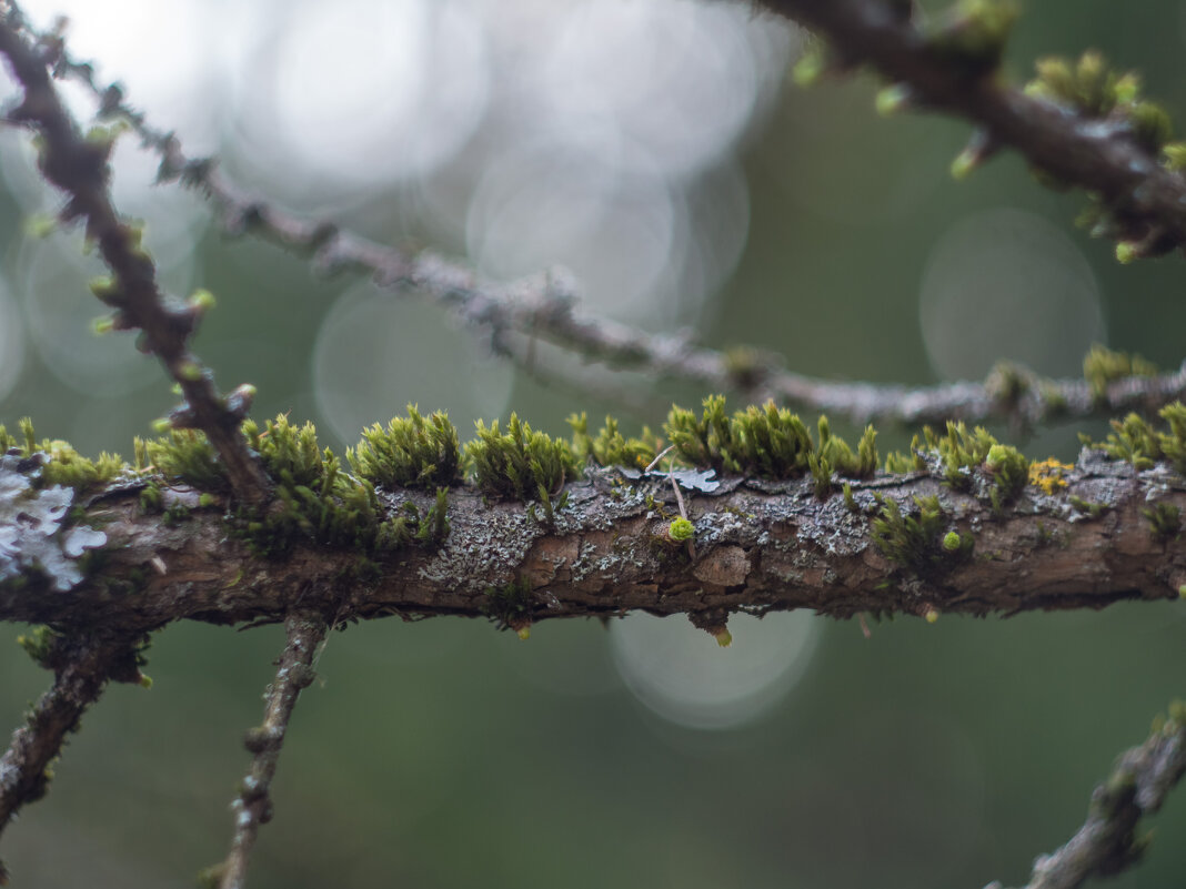 ___ - Yuriy V ___ - Yuriy V