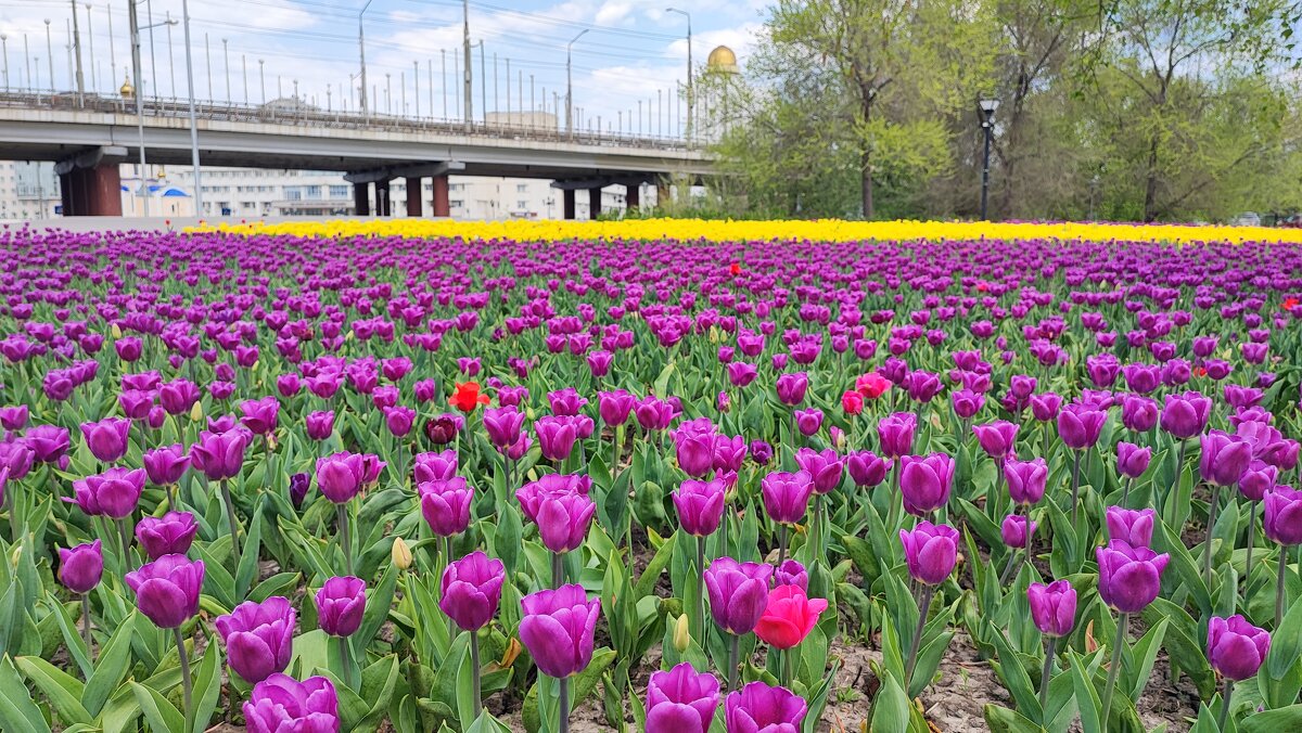 ,,, - Сергей Тимоновский