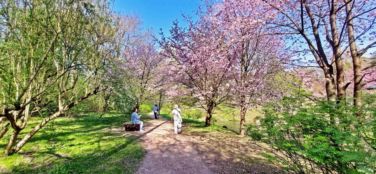 Весна. - ИРЭН@ . Весна. - ИРЭН@ .