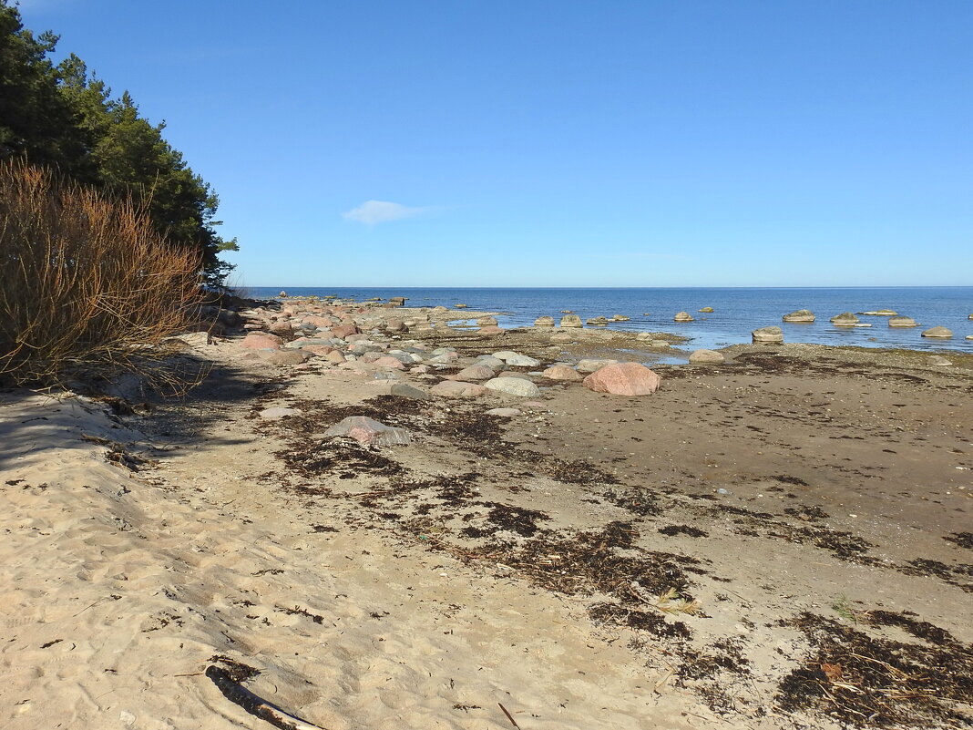 весна - ИННА ПОРОХОВА