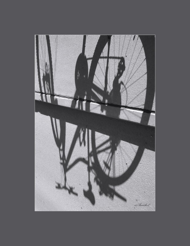 С Днём велосипедиста! - sv.kaschuk 