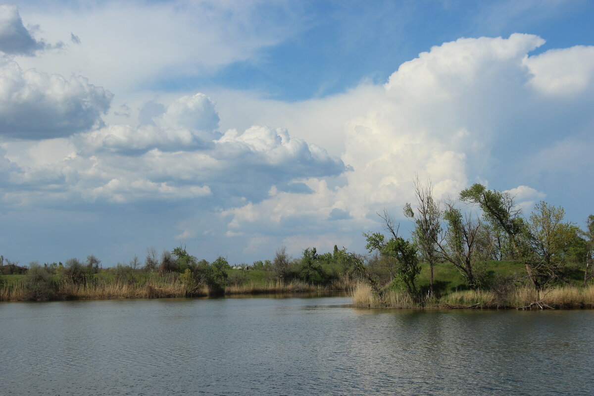 Донские зарисовки. - Виктор Донские зарисовки. - Виктор