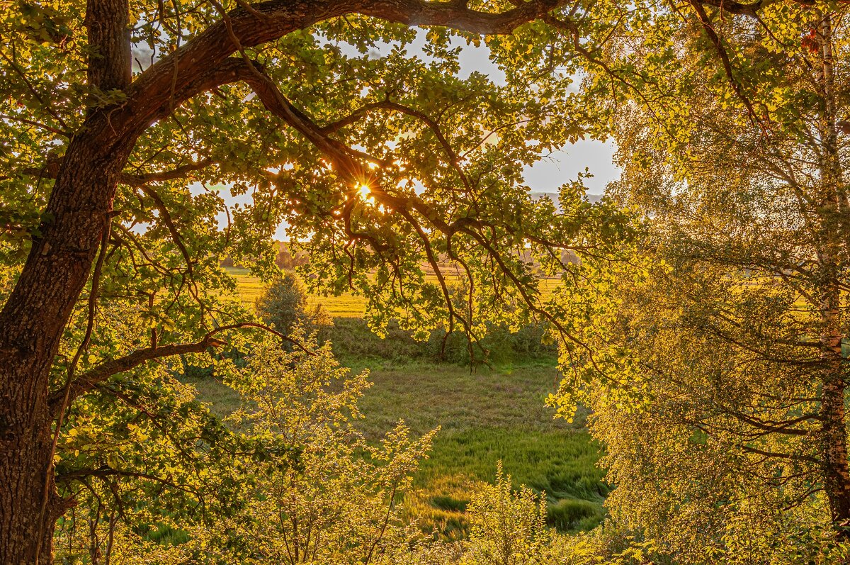 Закаты в деревне - Александр Филатов Закаты в деревне - Александр Филатов