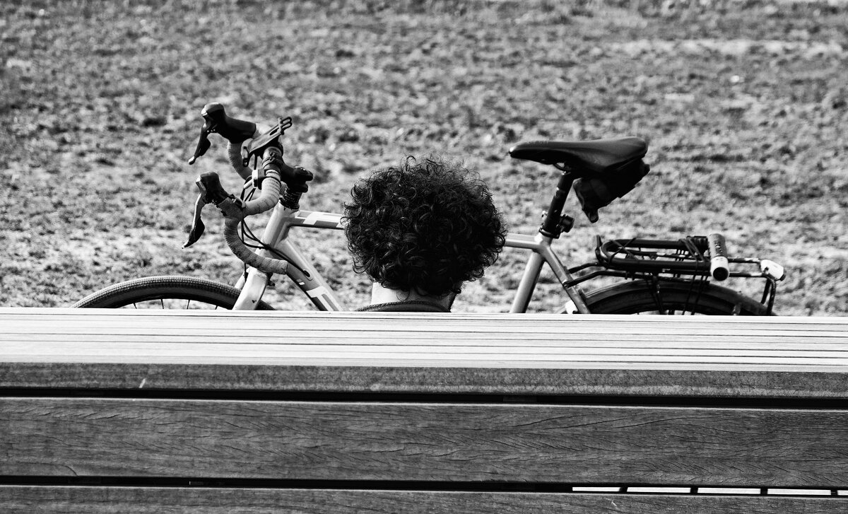 Гнездо... - Elena Ророva