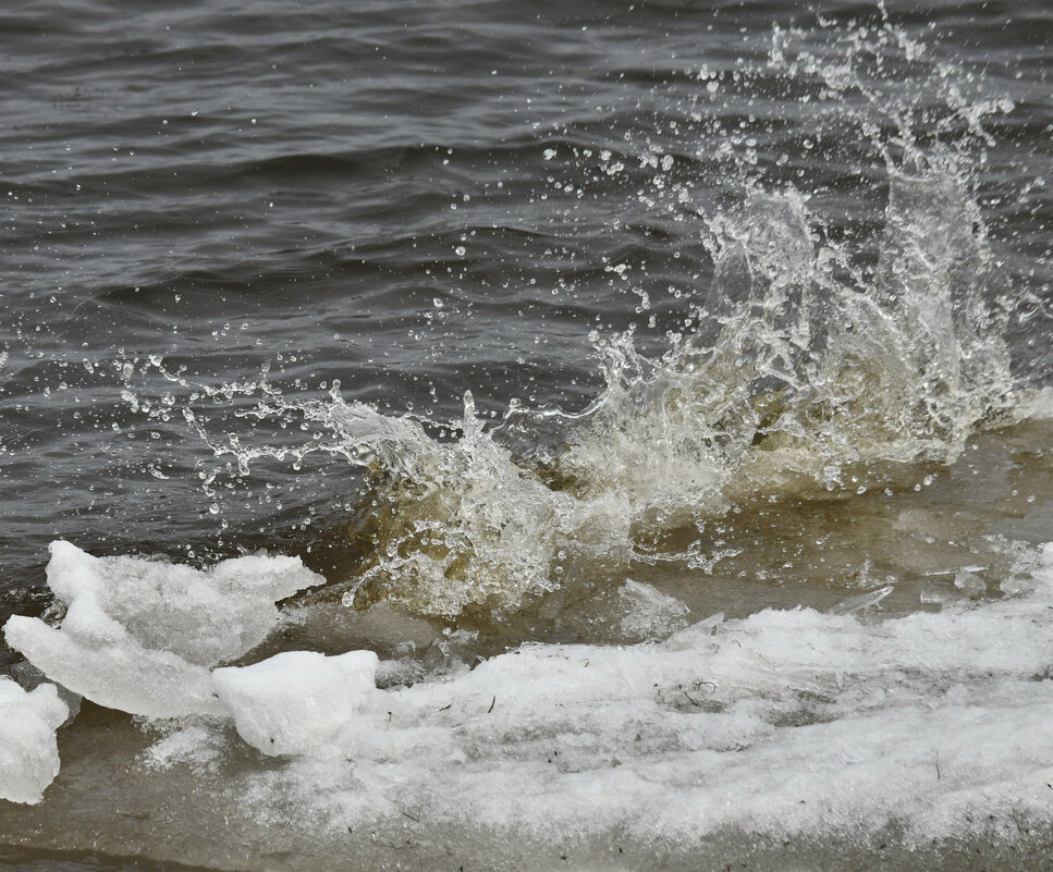 Волны бьются об лёд - Сергей Шаврин