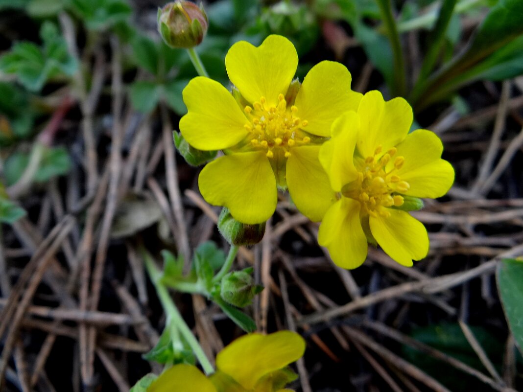 Тяга к жизни - Антонина Гугаева Тяга к жизни - Антонина Гугаева