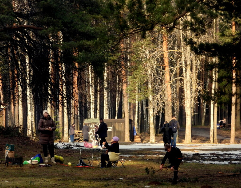 Весенний разброд - Юрий Велицкий Весенний разброд - Юрий Велицкий