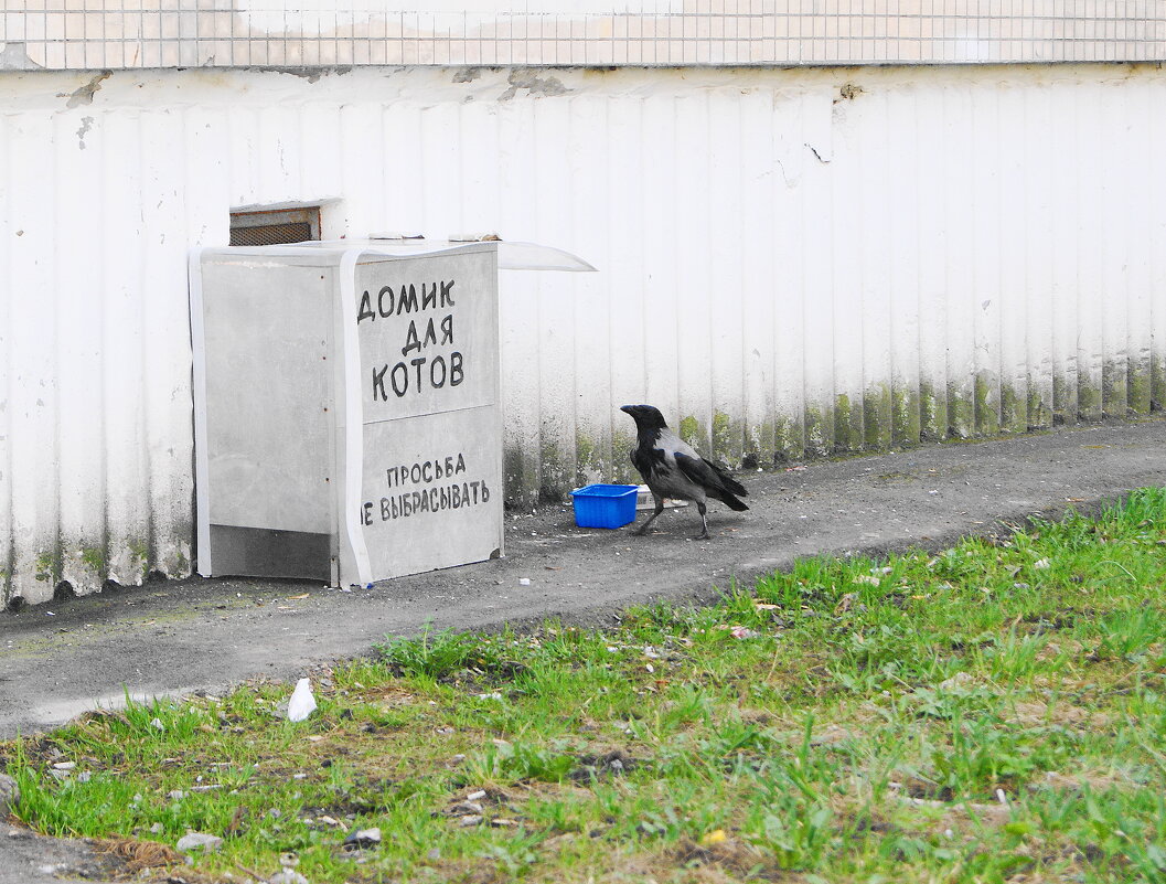 ДИСКРИМИНАЦИЯ. - Виктор Никитенко