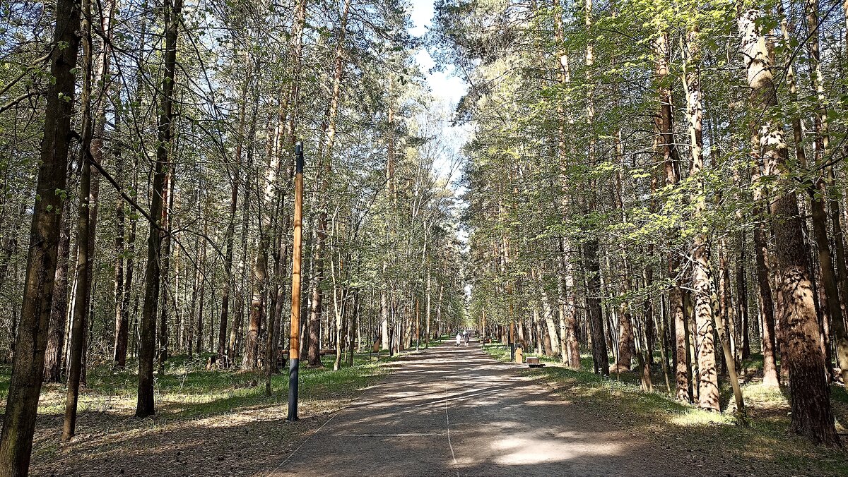 Весна в парке - Татьяна Тюменка Весна в парке - Татьяна Тюменка
