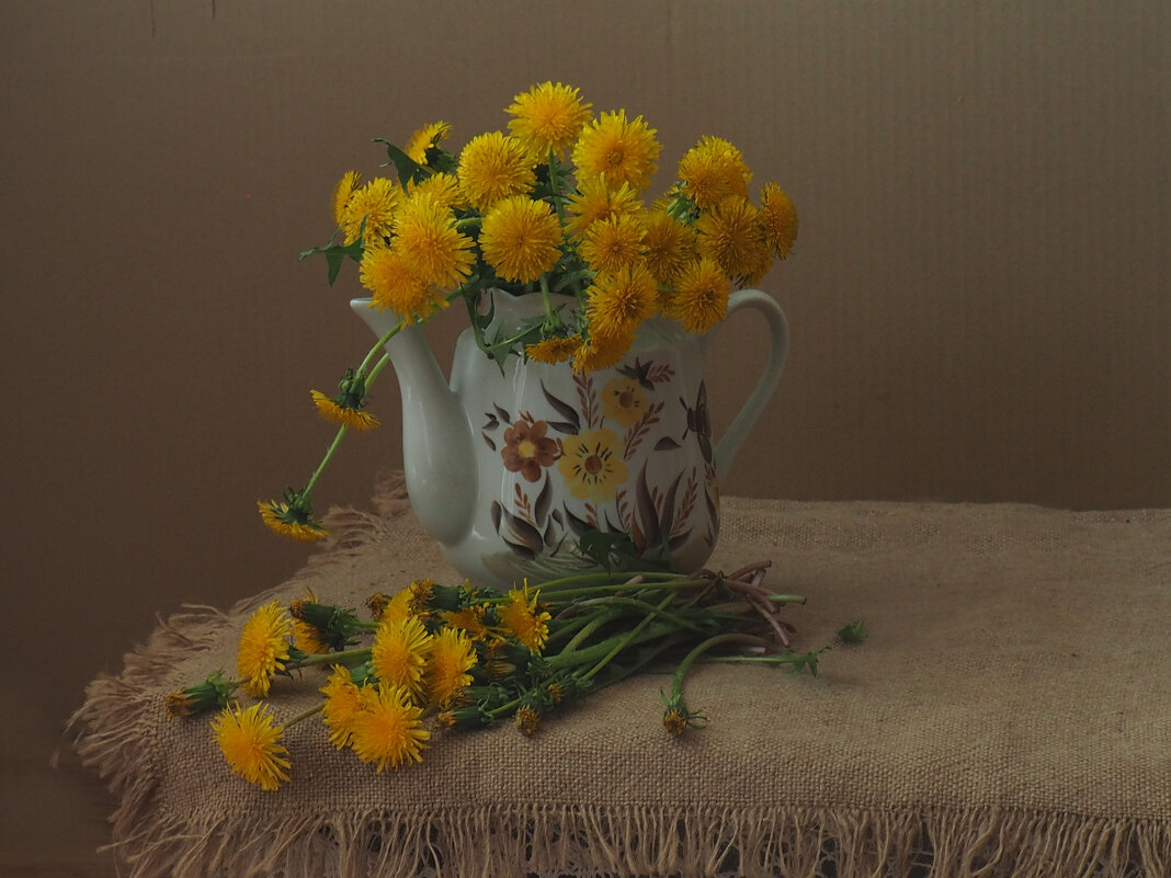 весна - Александра [-/