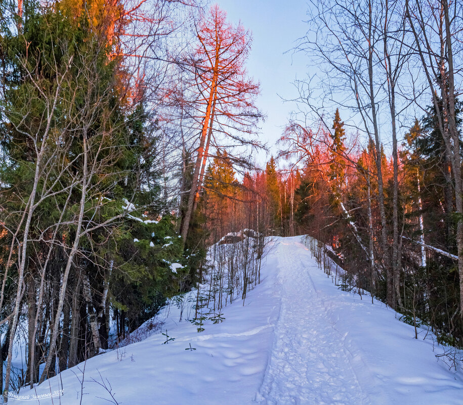 Апрельская вечерняя тайга в окрестностях Ухты. Весна на Север не спешит - Николай Зиновьев Апрельская вечерняя тайга в окрестностях Ухты. Весна на Север не спешит - Николай Зиновьев
