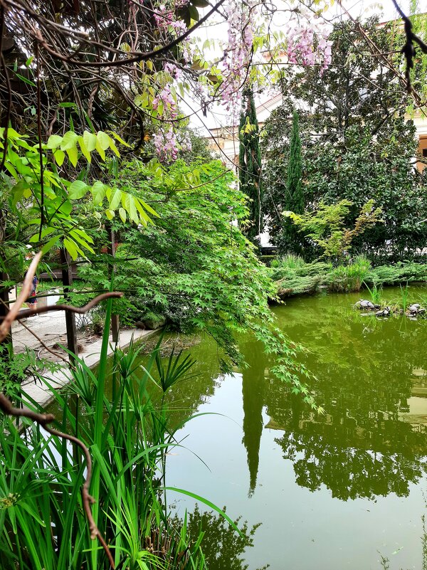 ЧЕРЕПАШЬЕ ОЗЕРО - Tata Wolf