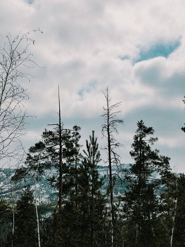 Зимнее утро - Георгиевич 