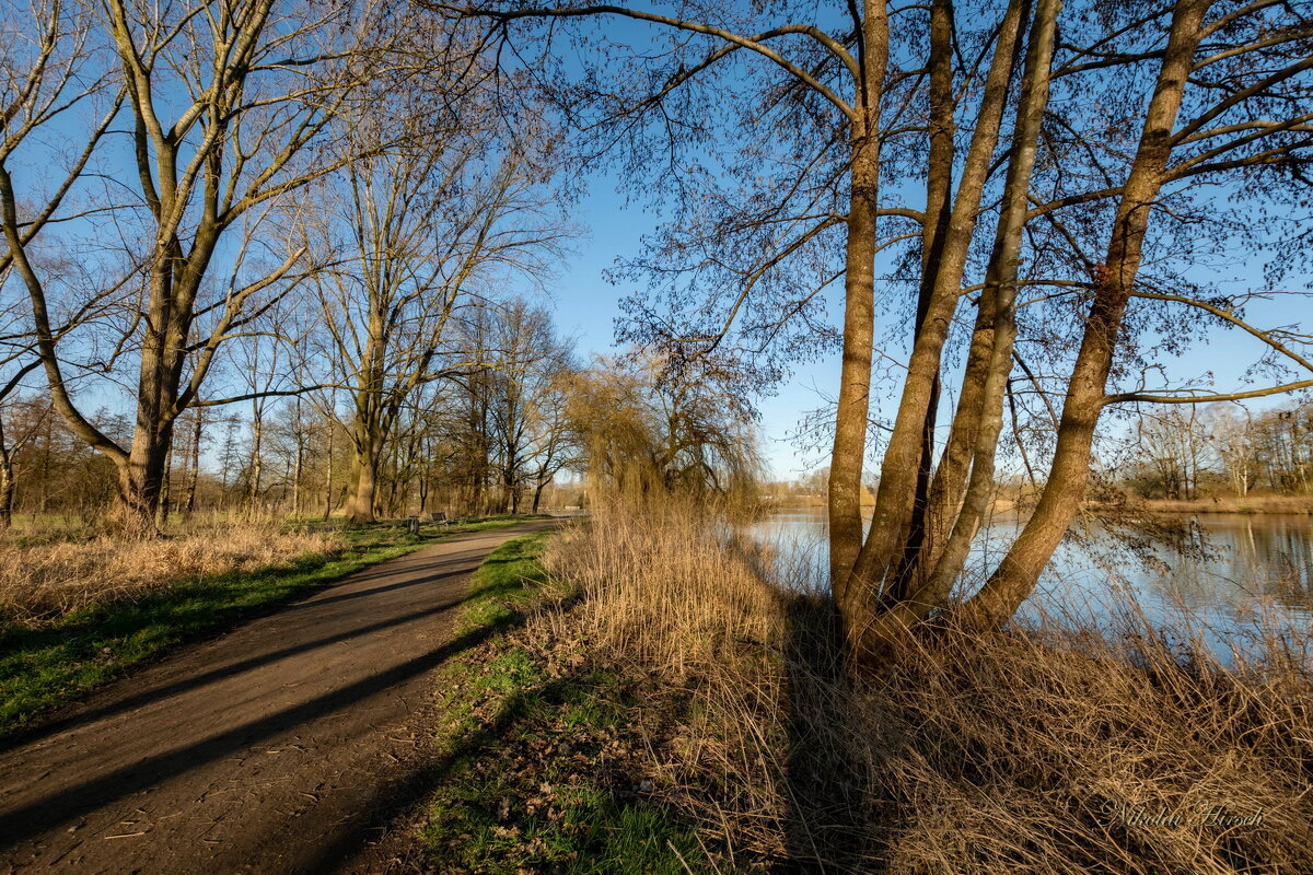 *** - Николай Гирш *** - Николай Гирш