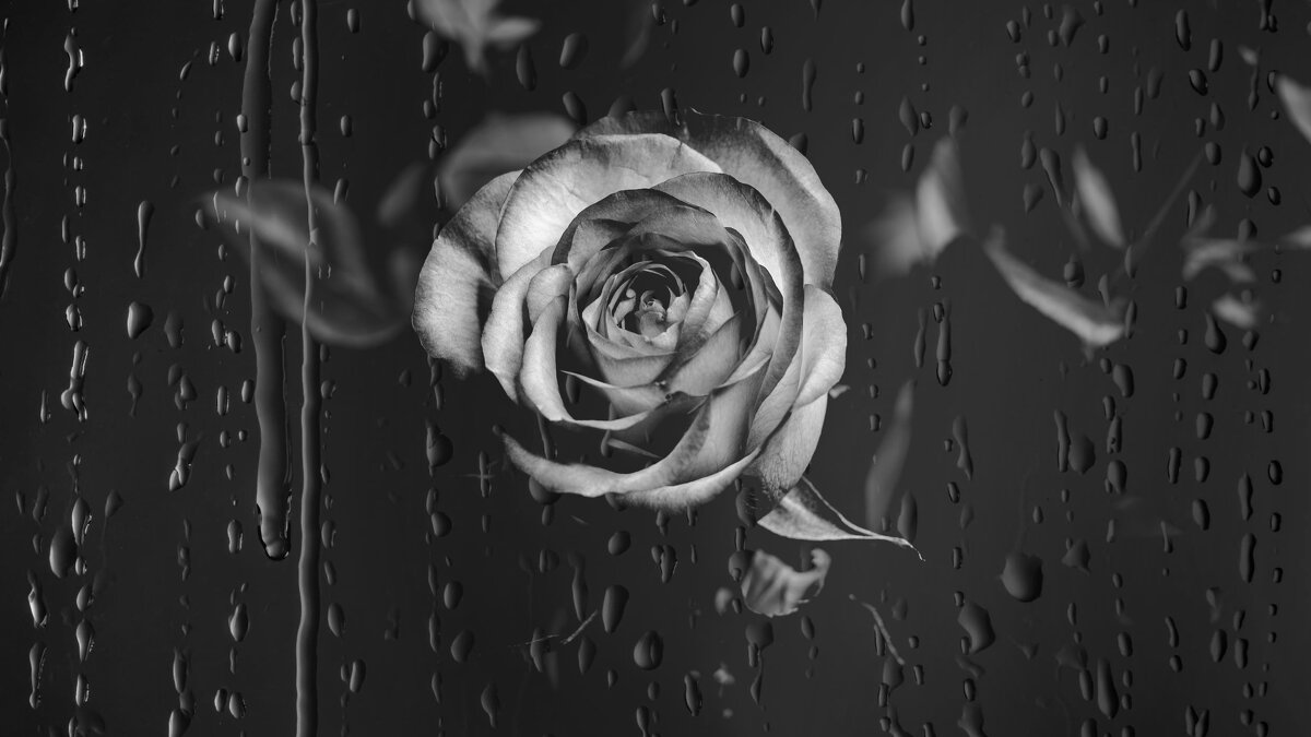 Черно-серая эстетика. - Вадим Басов