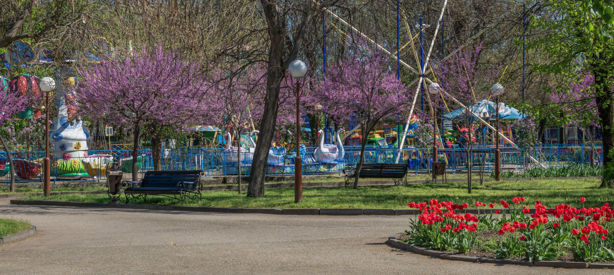Городской парк - Игорь Сикорский Городской парк - Игорь Сикорский
