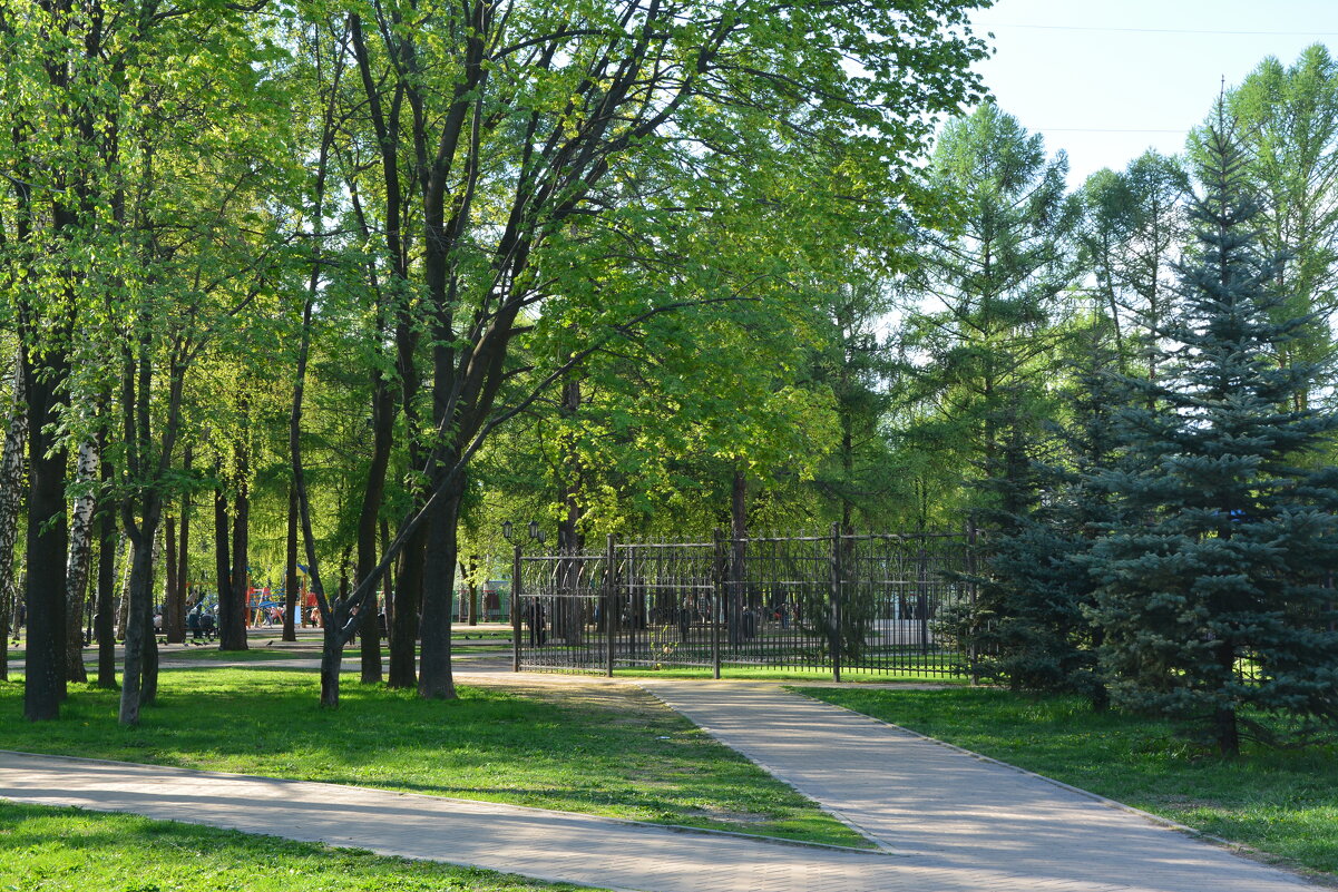 Парк около храма Иоанна Кронштадского - Александр Буянов Парк около храма Иоанна Кронштадского - Александр Буянов