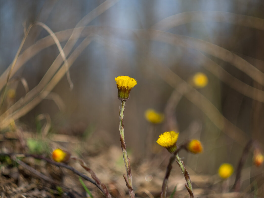 ___ - Yuriy V ___ - Yuriy V