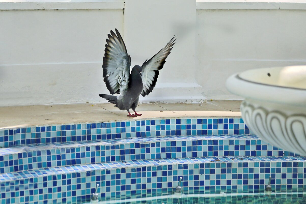 На зарядку становись! - Татьяна Бравая