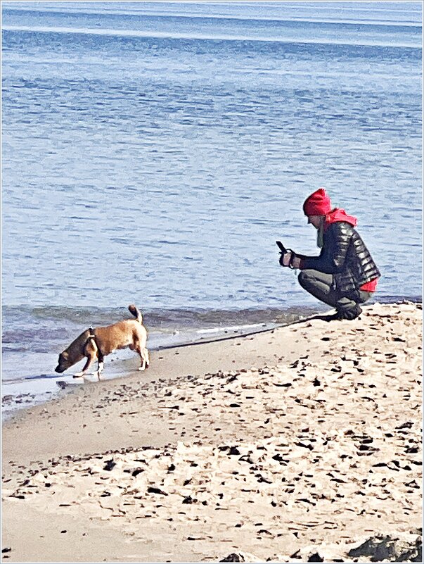 Прогулка на берегу моря. - Валерия Комова