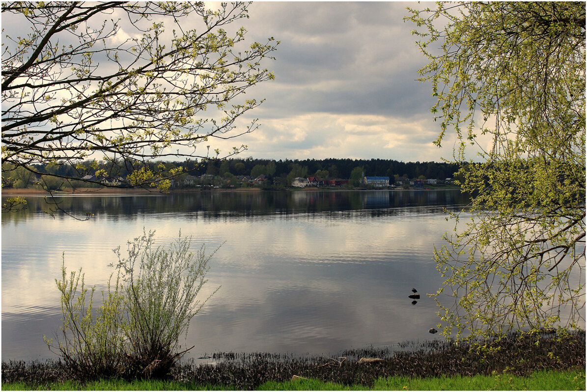 *** - Aleksandr Gal *** - Aleksandr Gal