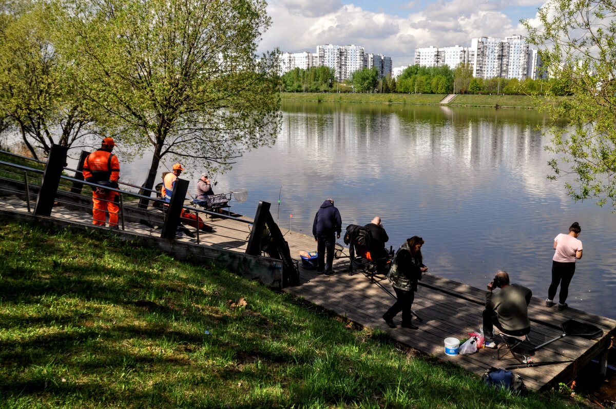 Большая сходка,,,,) - Анатолий Колосов