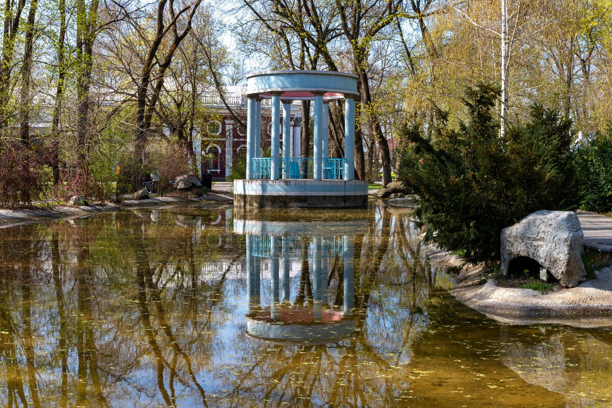 "-" - Светлана Фокша