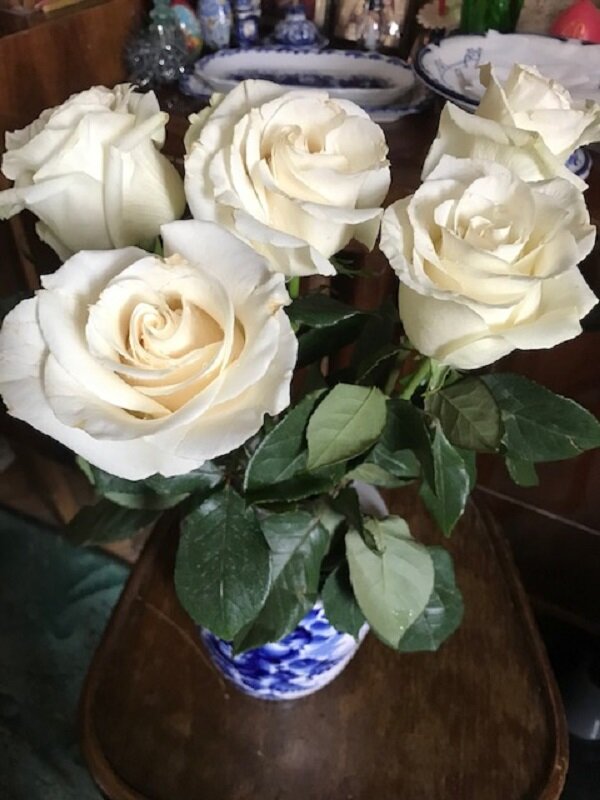 Из цикла"Розы"  Букет - Татьяна Юрасова