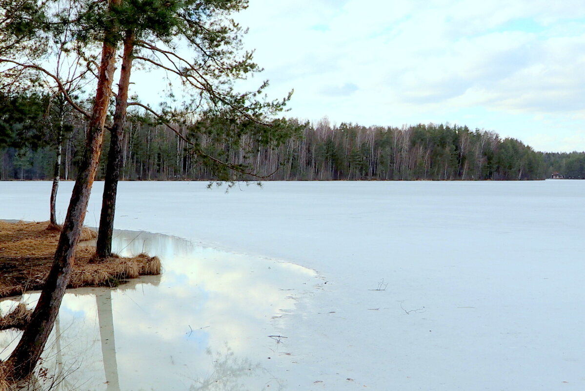 3. Весенние проталины - Юрий Велицкий 3. Весенние проталины - Юрий Велицкий