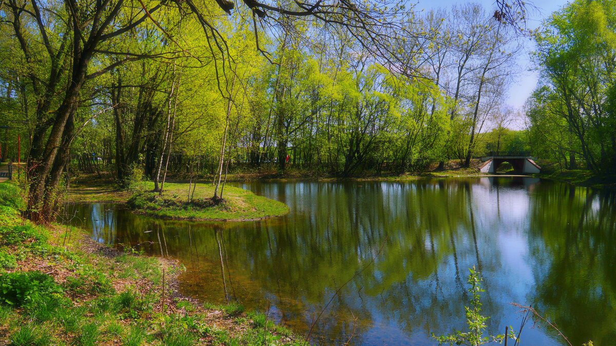 Весна в Кусково - Наталья Лакомова Весна в Кусково - Наталья Лакомова