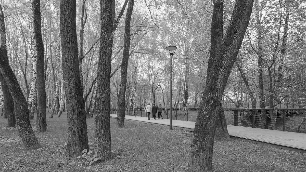 Прогулки в Весеннем Парке - юрий поляков