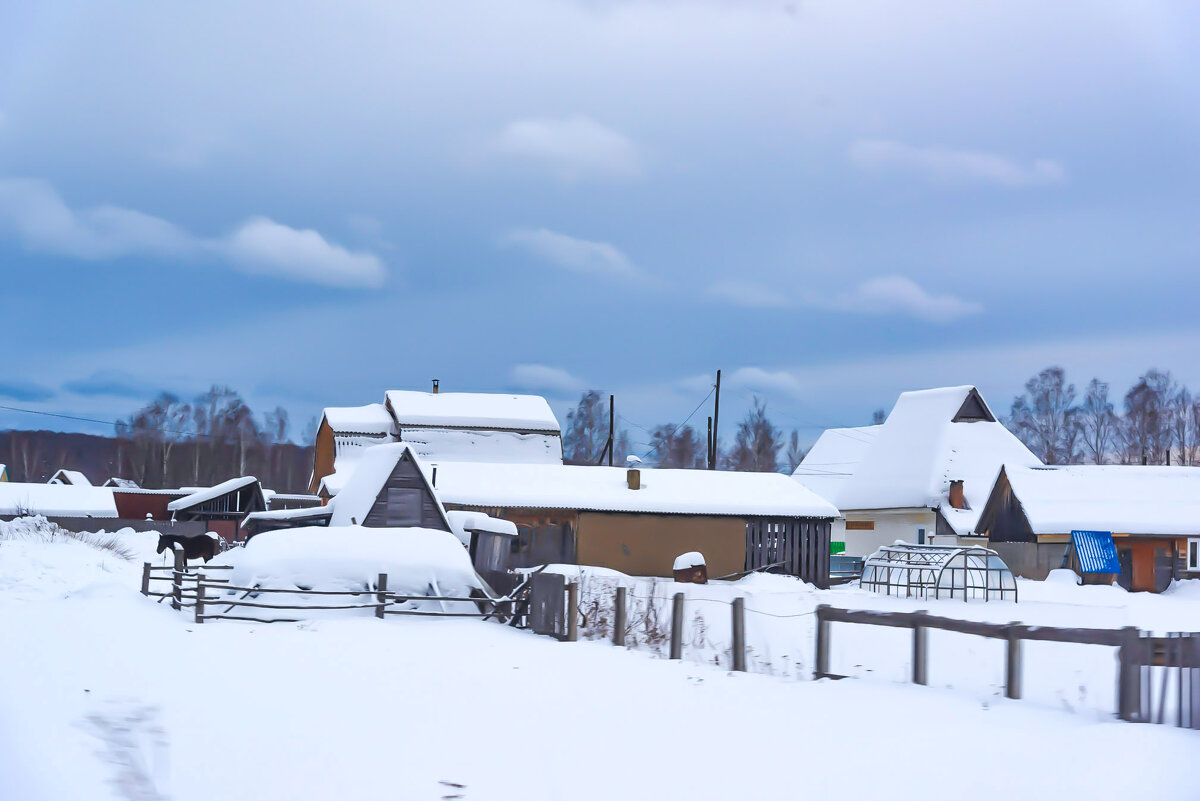 Свежий снег - юрий Амосов Свежий снег - юрий Амосов