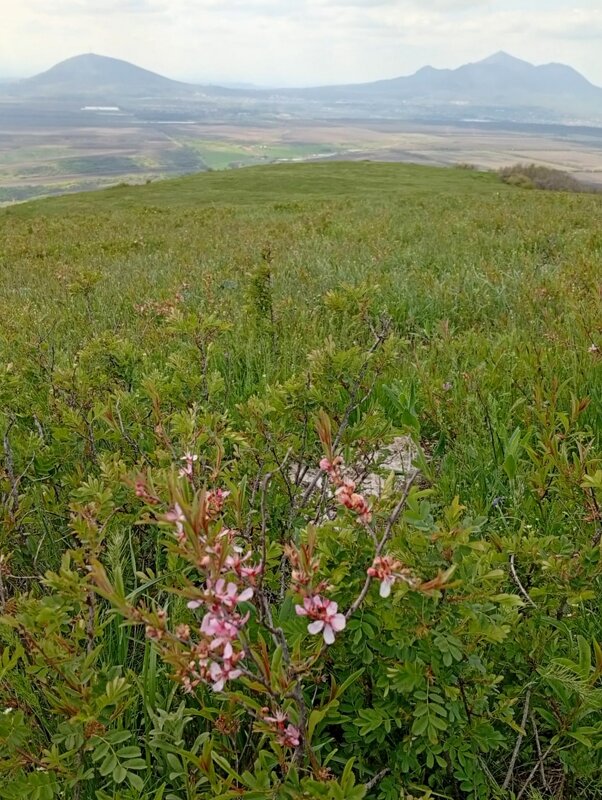Кавминводы... на Лысой горе... - Нина Бутко