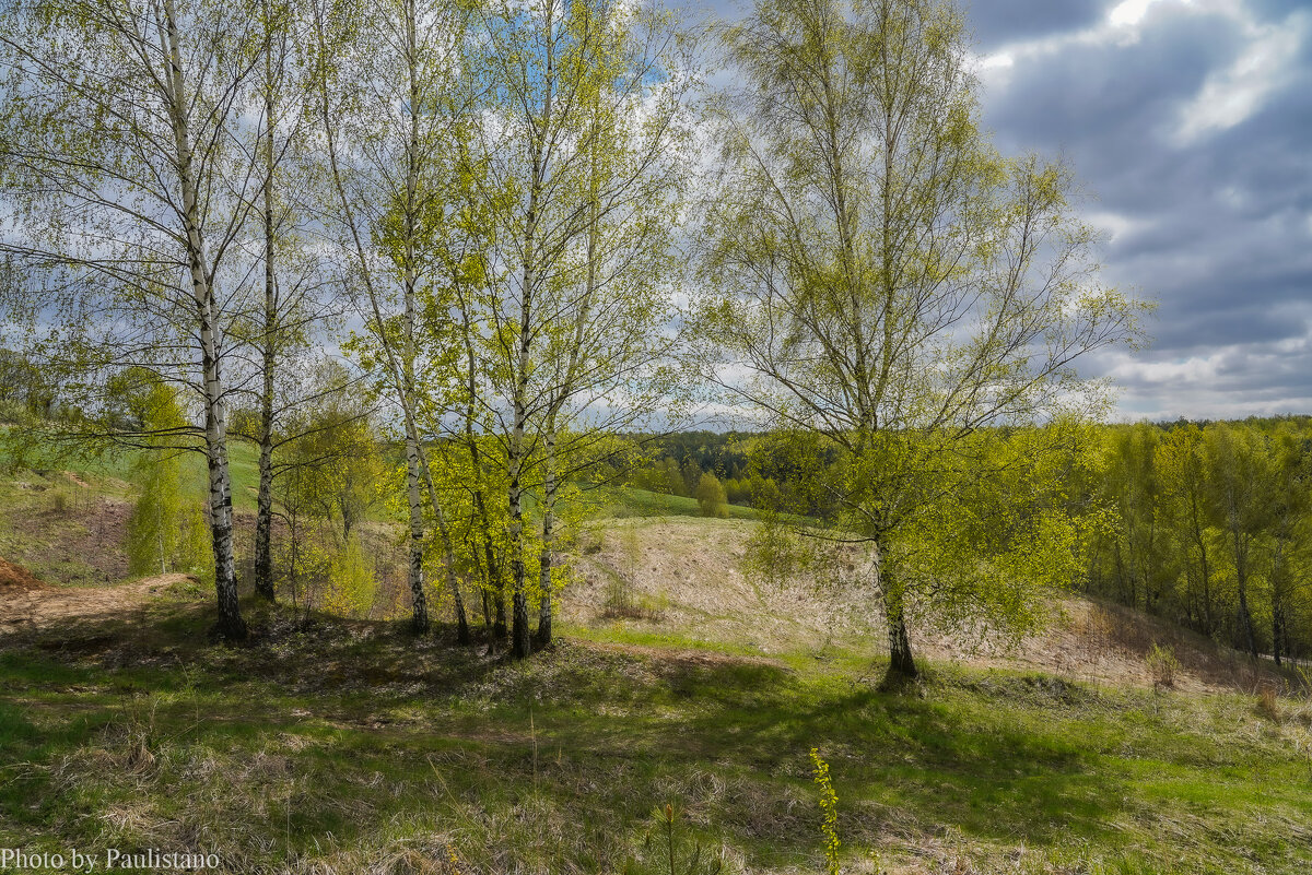 Зелёный апрель... - Владимир Жданов