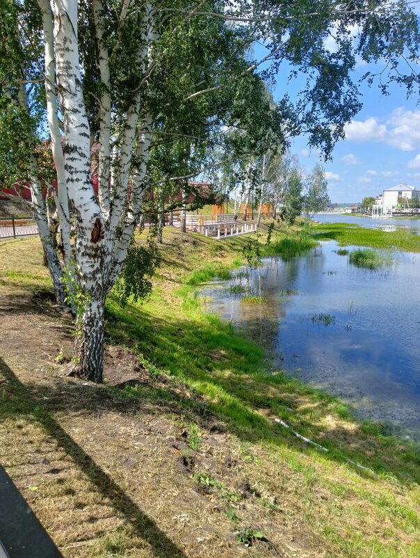 Солнечный день - Ольга 