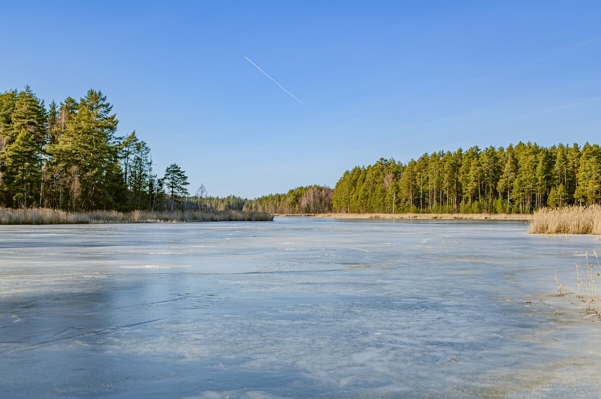 Весна на озере Сомино - Александр Филатов