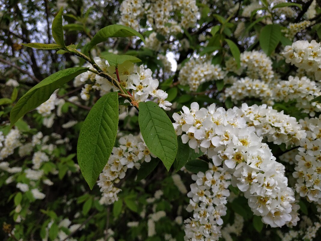 Приметы апреля - Андрей Лукьянов