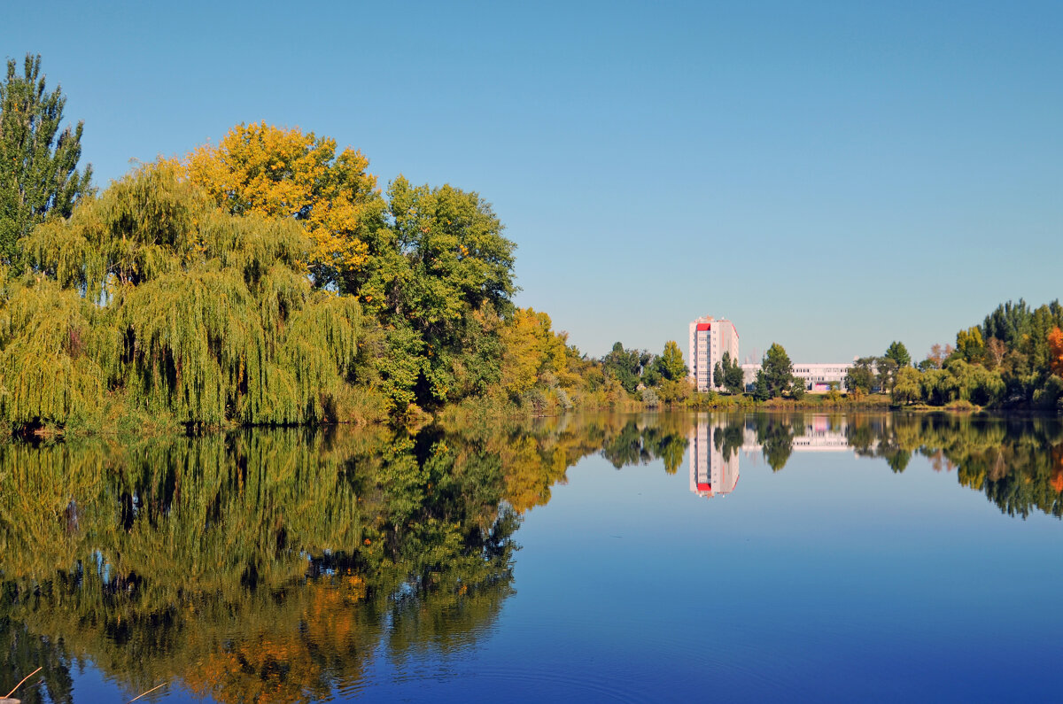 Утро на городском пруду - Сергей М Утро на городском пруду - Сергей М