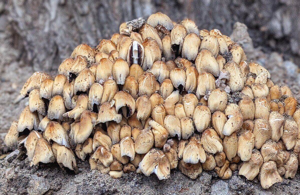 Горка - Хэлен *** Горка - Хэлен ***