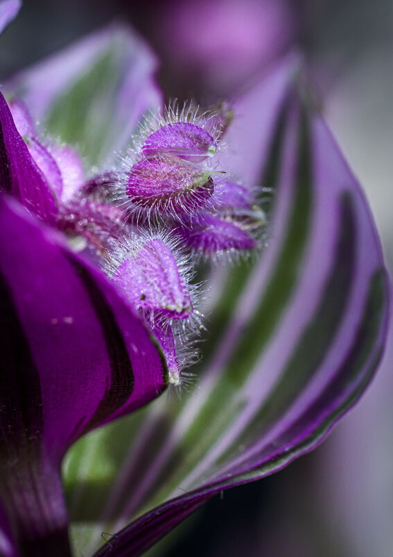 круиз по балкончику - Осень 