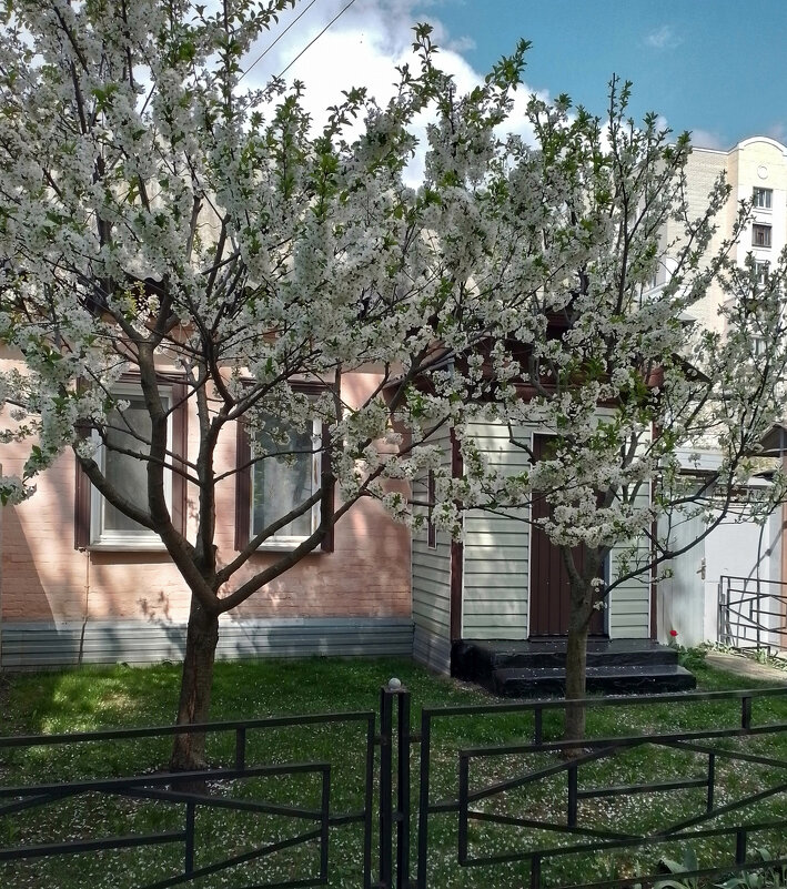 *** - Валентина Береснева