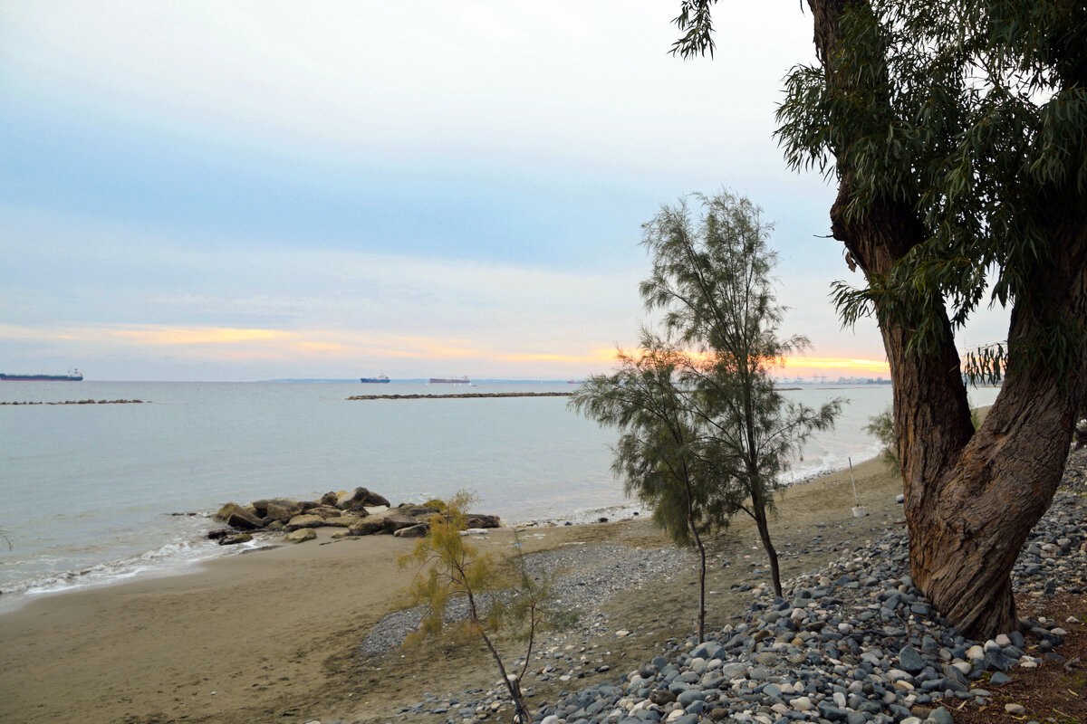 Вечерняя прогулка - Oleg4618 Шутченко